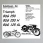 Preview: Kabelbaum/ Kabelsatz/ Leitungssatz Triumph/ TWN BDG 250 alle Modelle (auch passend bei BGD 125 SL)