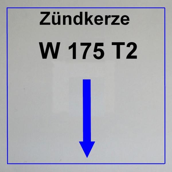 --------------------------W175 T2--------------------------