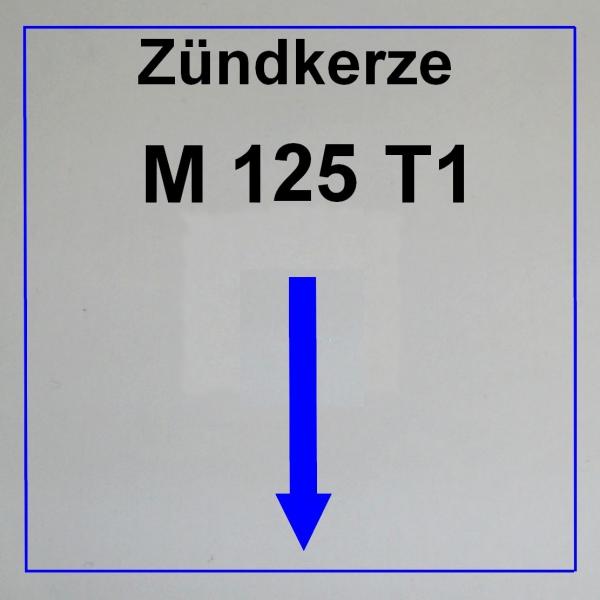 --------------------------M125 T1---------------------------