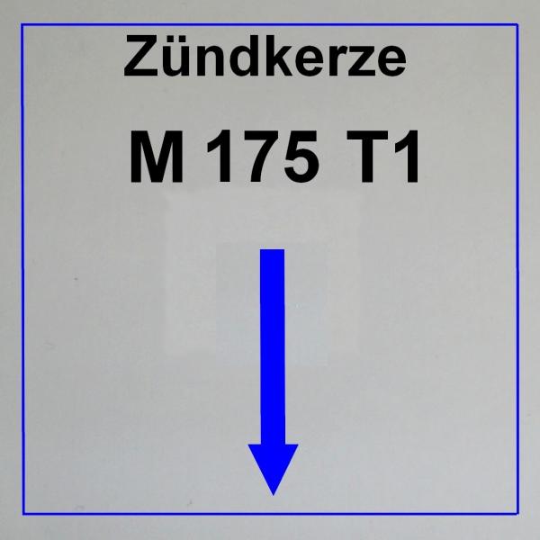 --------------------------M175 T1--------------------------