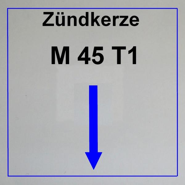 ---------------------------M45 T1-----------------------------