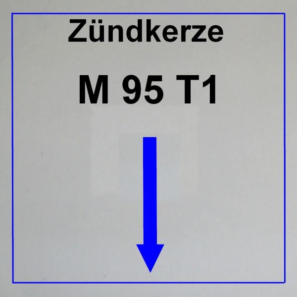 ----------------------------M95 T1----------------------------
