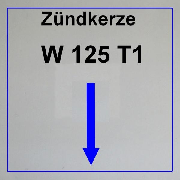--------------------------W125 T1--------------------------