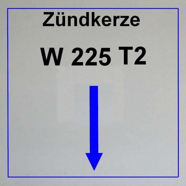 --------------------------W225 T2--------------------------