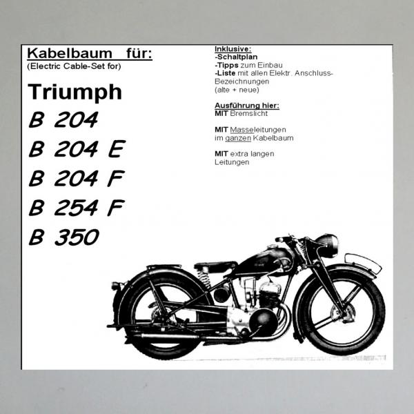 Kabelbaum/ Kabelsatz/ Leitungssatz Triumph/TWN B 204, 204 E, 204 F, 254 F, B 350