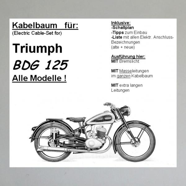 Kabelbaum/ Kabelsatz/ Leitungssatz Triumph/ TWN BDG 125