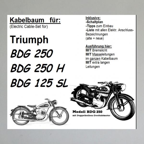 Kabelbaum/ Kabelsatz/ Leitungssatz Triumph/ TWN BDG 250 alle Modelle (auch passend bei BGD 125 SL)