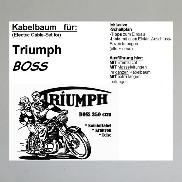 Kabelbaum/ Kabelsatz/ Leitungssatz Triumph/ TWN Boss