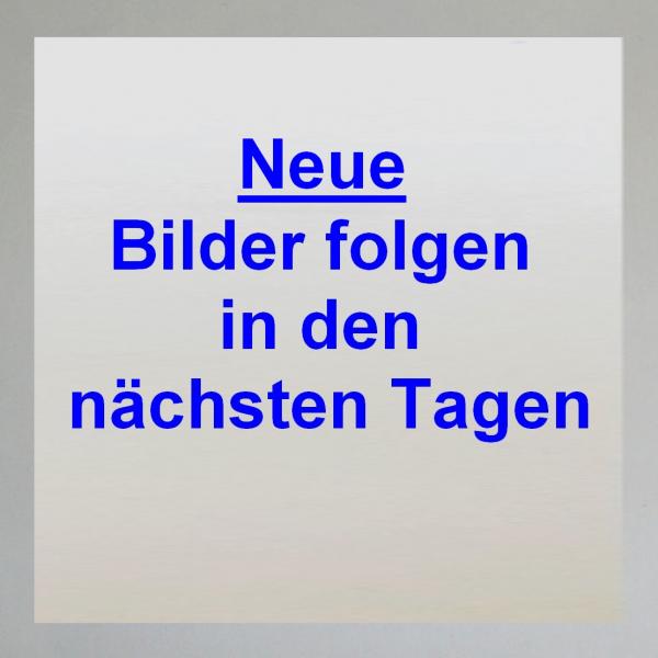 Kupplungsscheibe Aussenzahn für Burmann Getriebe (Aktive Scheibe)---Übermaß-Mitnehmer---mit Kork---