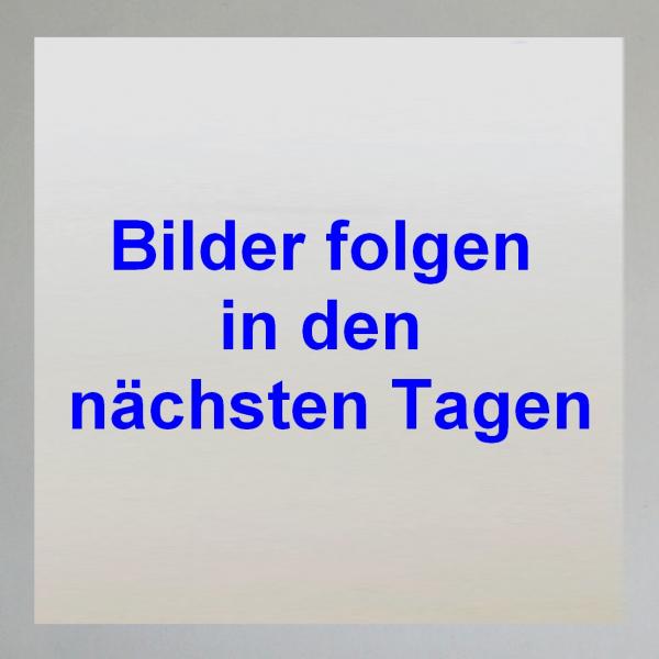 Kupplungsscheibe für DKW SB 500, neu belegt und geschliffen---Repro---