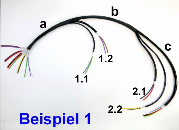 Kabelbaum/ Kabelsatz/ Leitungssatz: Selbstkonfiguration durch Angaben, Universalkabelbaum