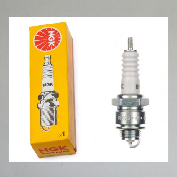 Zündkerze für Volvo TP21 und andere