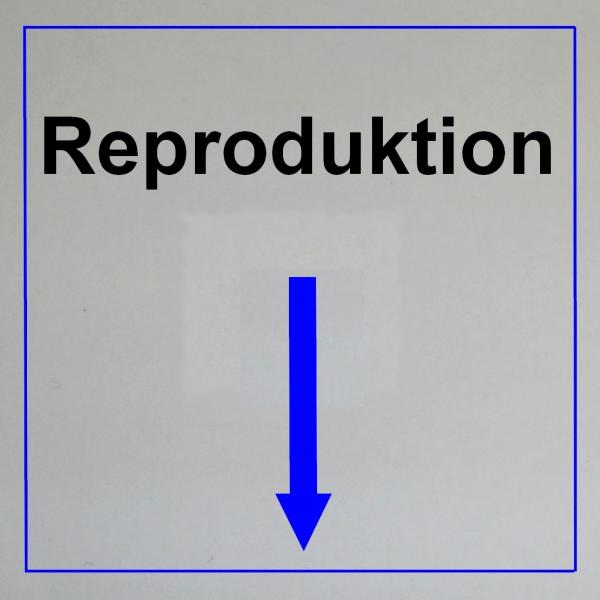 --------------------------------------------------------------------------