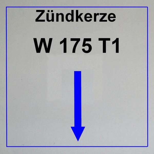 --------------------------W175 T1--------------------------