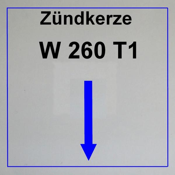 --------------------------W260 T1--------------------------
